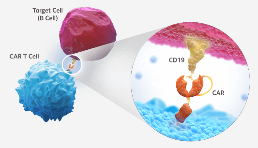 1731047203854736.png 微信图片_20241031152251.png