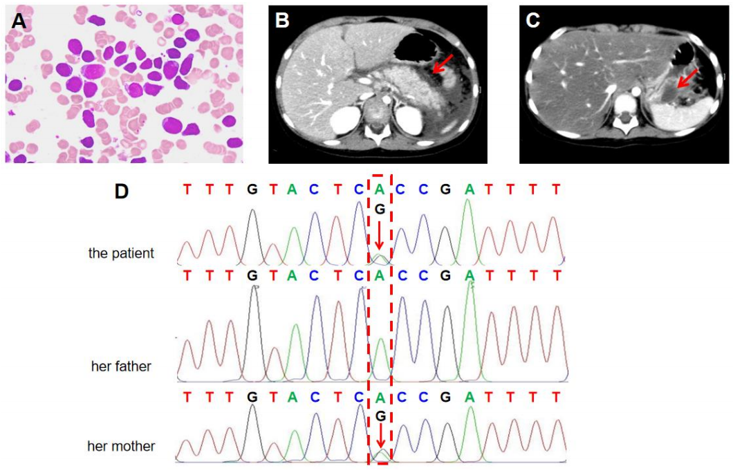 1732254187654357.png 图片4.png