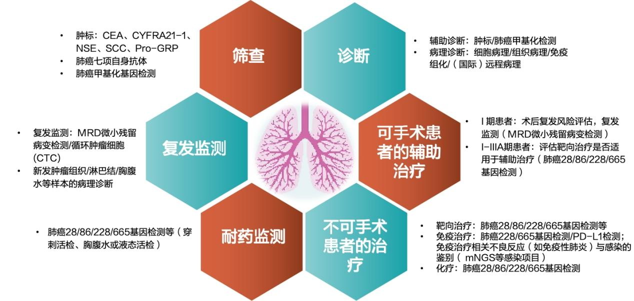 1732255376797439.png 图片1.png