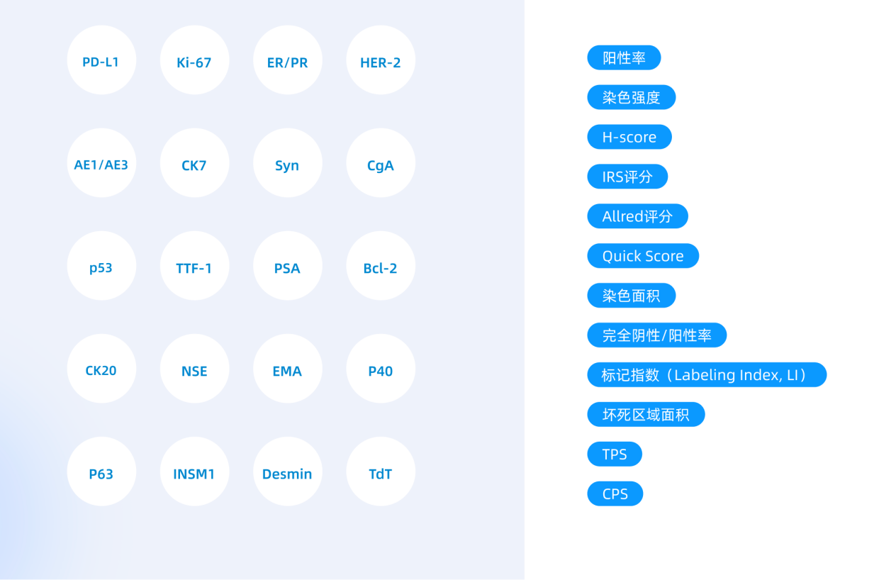 1756714085812678.png 4.png