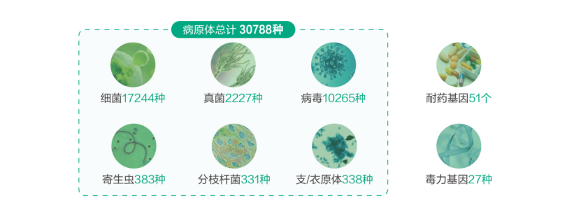 1762222204619736.png 13.png